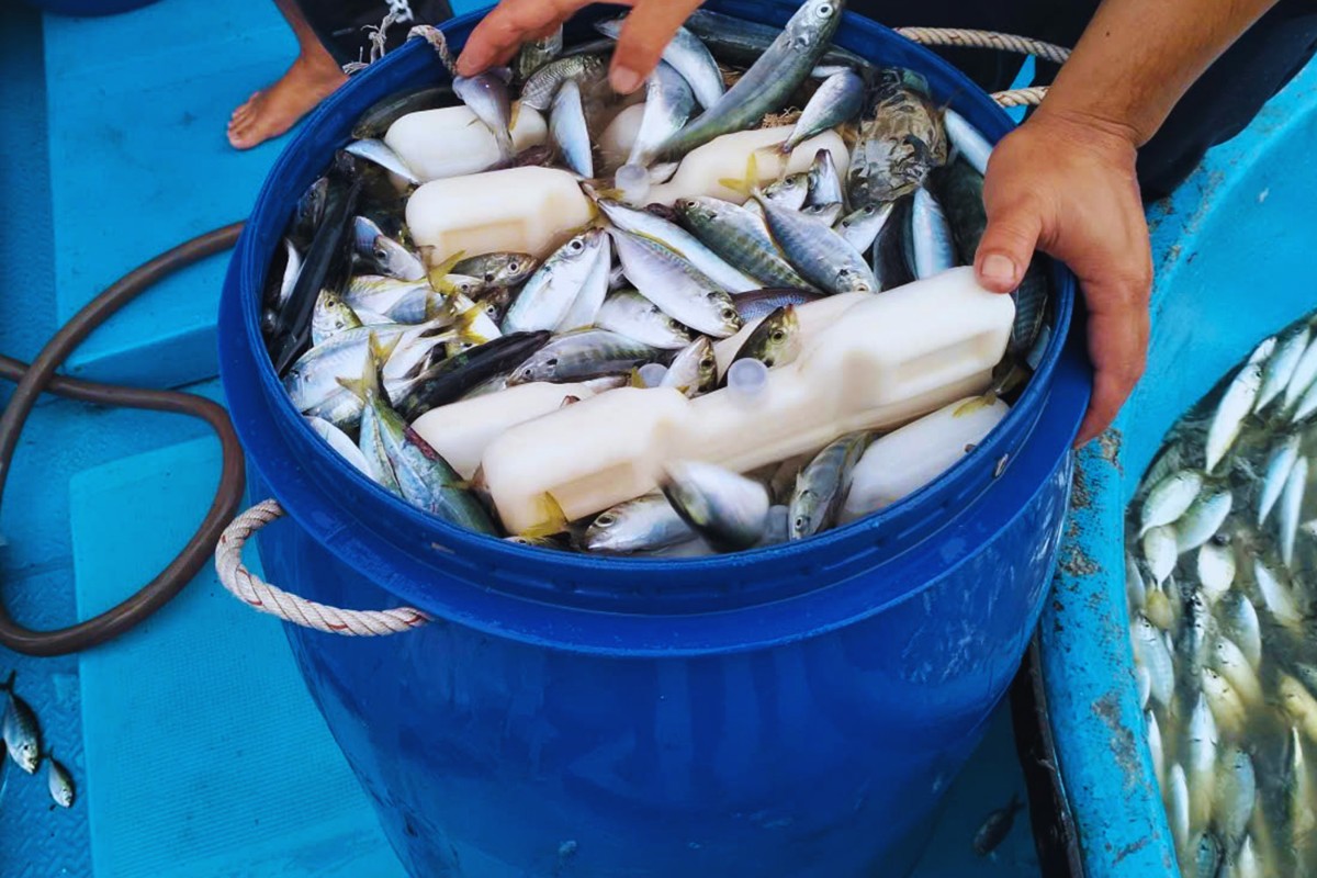 Thay Thế Nước Đá Cho Tàu Đánh Cá Thay Thế Nước Đá Cho Tàu Đánh Cá