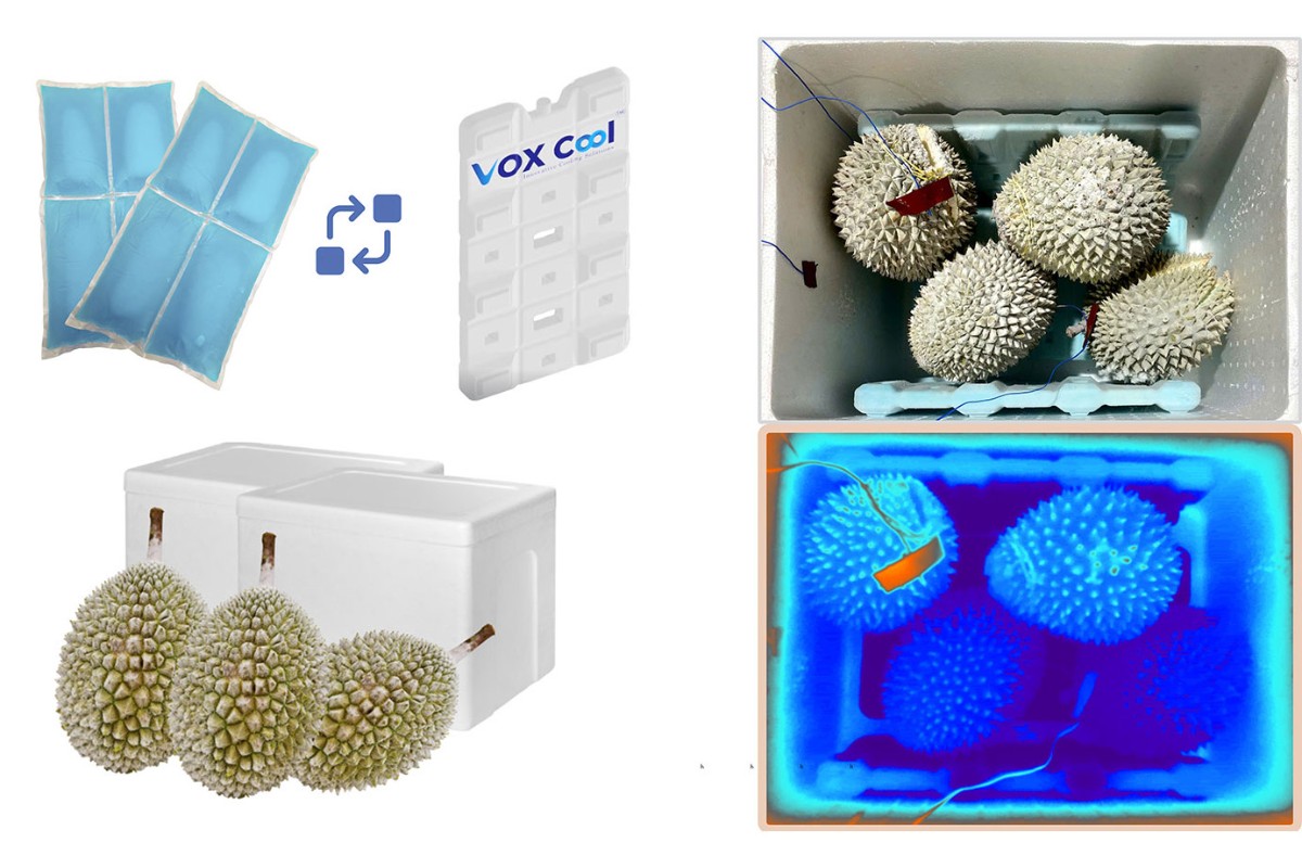 Pin Lạnh Cho Vận Chuyển Chuỗi Cung Ứng Lạnh Pin Lạnh Cho Vận Chuyển Chuỗi Cung Ứng Lạnh